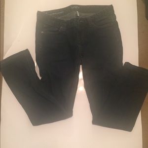 Ann Taylor Jeans